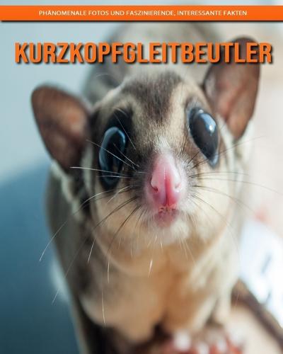 Kurzkopfgleitbeutler