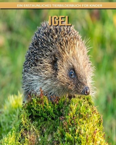 Igel