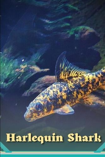Harlequin Shark