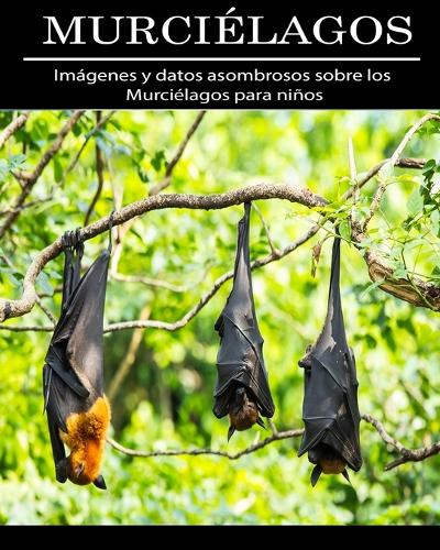 Murcielagos