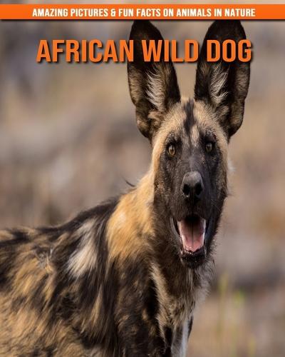 African Wild Dog