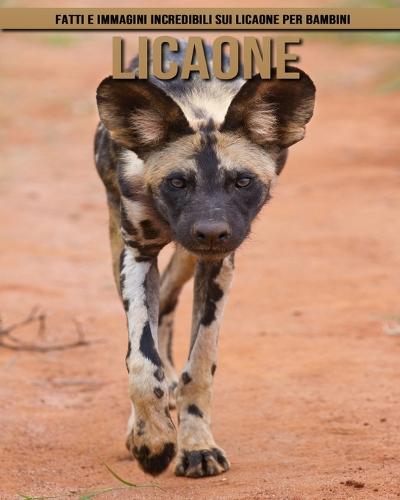 Licaone