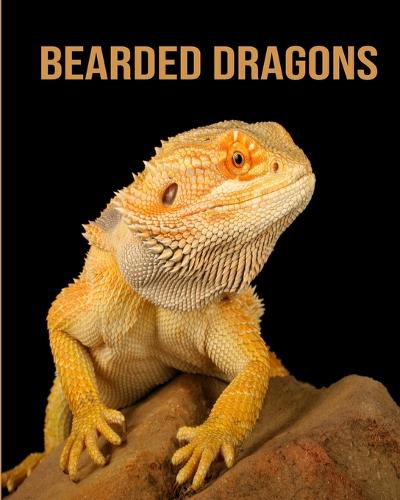 Bearded Dragons