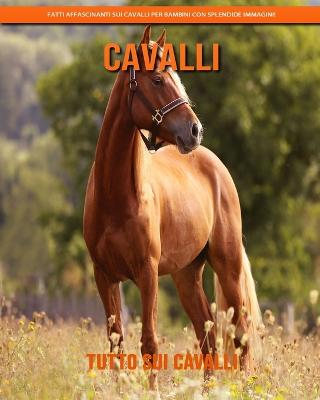 Tutto sui Cavalli