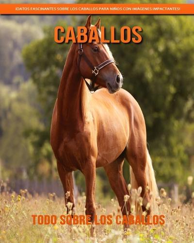 Todo sobre los Caballos