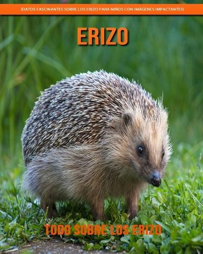 Todo sobre los Erizo