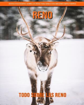Todo sobre los Reno