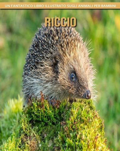 Riccio
