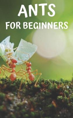 Ants for beginners