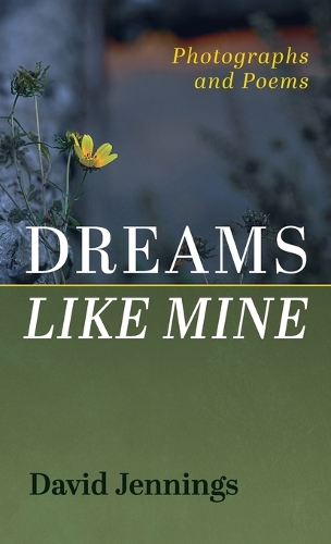 Dreams Like Mine