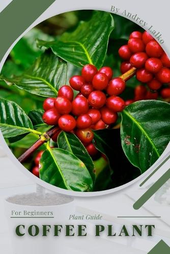 Coffee Plant