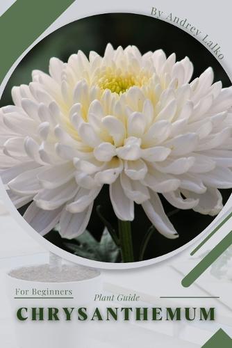 Chrysanthemum