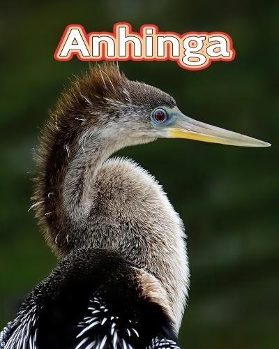 Anhinga