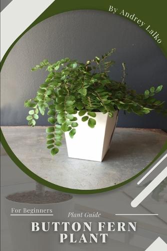 button fern plant