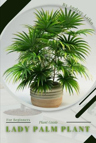 lady palm plant