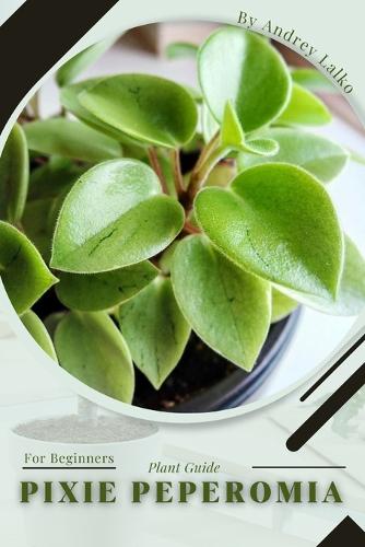 Pixie Peperomia