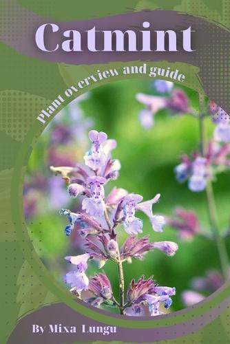 Catmint