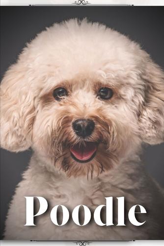 Poodle