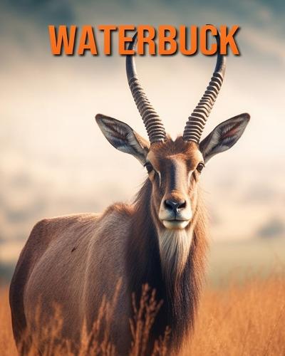 Waterbuck