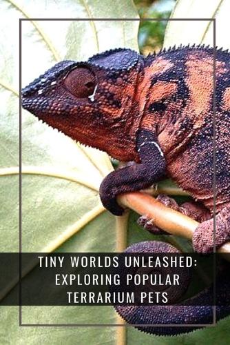 Tiny Worlds Unleashed