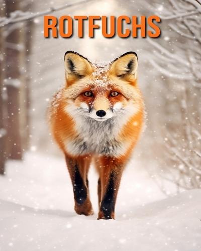 Rotfuchs