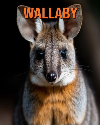Wallaby