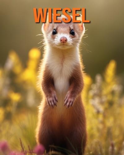 Wiesel