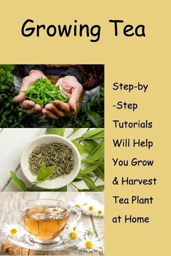 Growing Tea