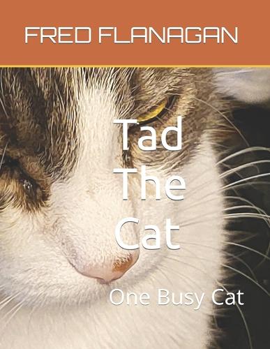 Tad The Cat