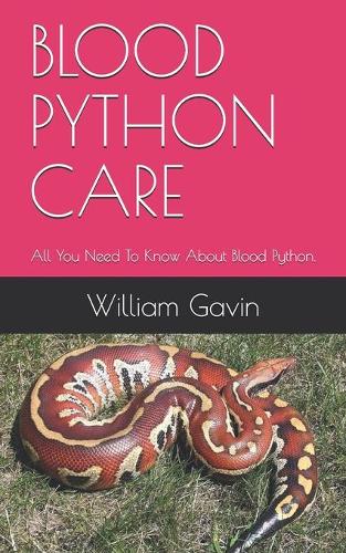 Blood Python Care
