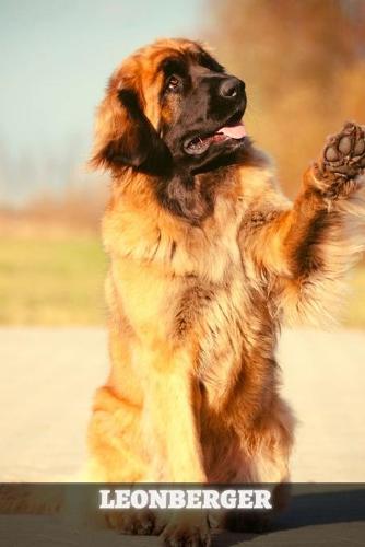 Leonberger