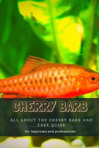 Cherry Barb
