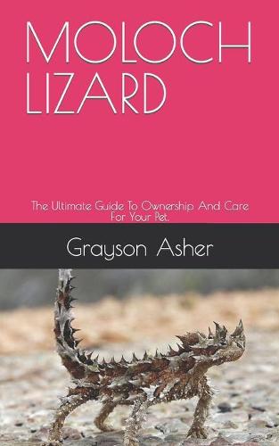 Moloch Lizard