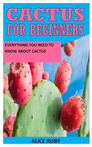Cactus for Beginners