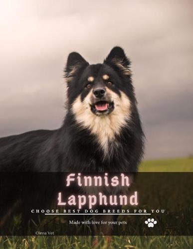 Finnish Lapphund