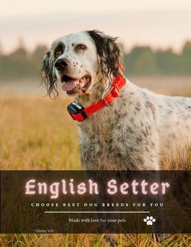 English Setter