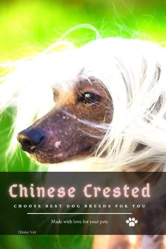 Chinese Crested