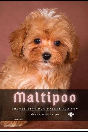 Maltipoo