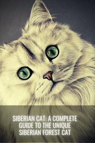 Siberian Cat