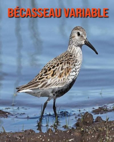 Becasseau Variable