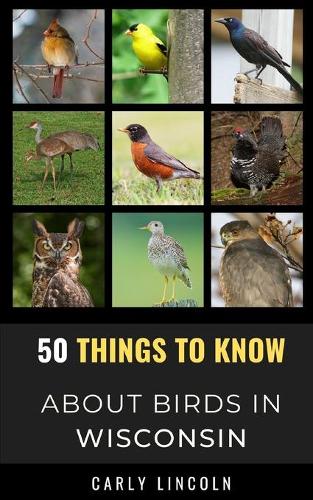 50 Things to Know About Birds in Wisconsin