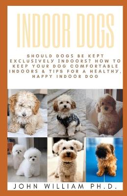 Indoor Dogs