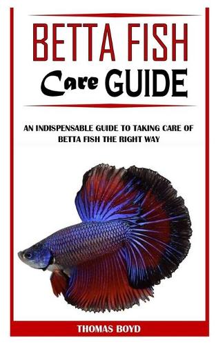 Betta Fish Care Guide