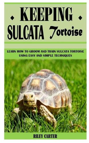 Keeping Sulcata Tortoise