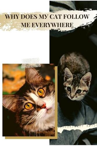 Why Does MУ Cat Follow Me Everywhere