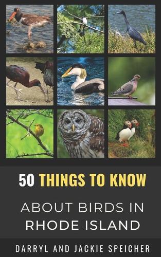 50 Things to Know About Birds in the Rhode Island