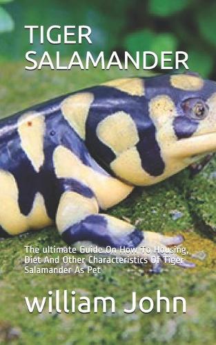Tiger Salamander