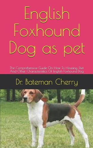 English Foxhound Dog as pet