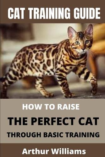 Cat Training Guide