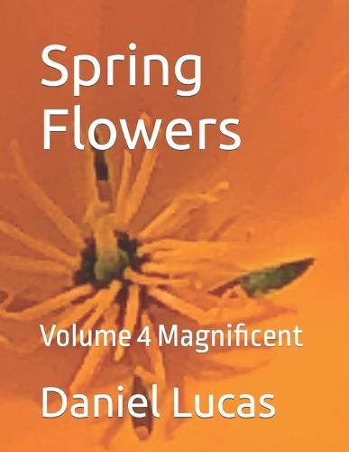 Spring Flowers